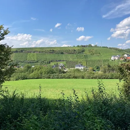 Elegant Retreat In Nattenheim, Cleaning Included Tatil Evi Nattenheim
